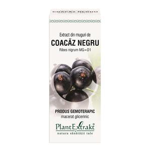 Extract din muguri de Coacaz Negru 50 ml Plant Extrakt