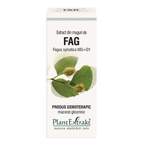 Extract din muguri de Fag 50 ml PlantExtrakt