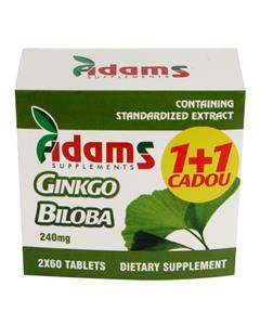 Ginkgo Biloba 2*60 tablete 1+1 Gratis