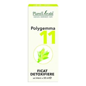 Polygemma 11 Ficat Detoxifiere 50 ml Plant Extrakt