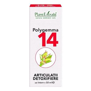 Polygemma 14 Articulatii Detoxifiere - 50 ml Plant Extrakt