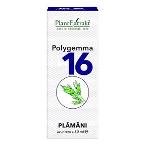 Polygemma 16 Plamani 50 ml Plant Extrakt