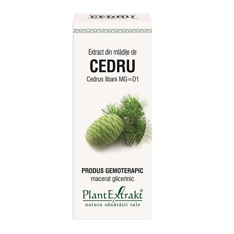 Extract din mladite de Cedru 50 ml Plant Extrakt