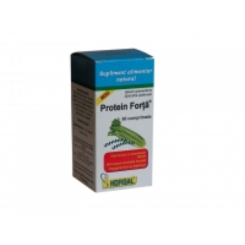 Hofigal - Protein Forta