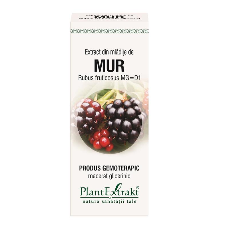 Extract din mladite de mur, 50 ml Plant extract	